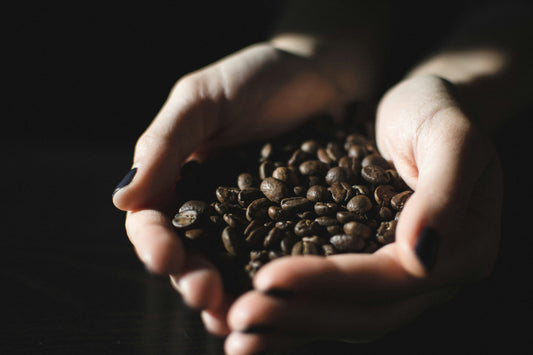 A handful of coffee beans in someone's hand