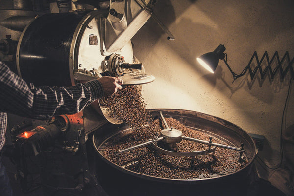 Coffee beans being poured into a roasting machine