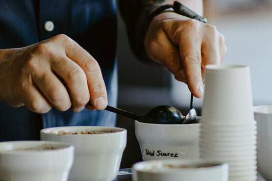 Hands holding two coffee cupping spoons