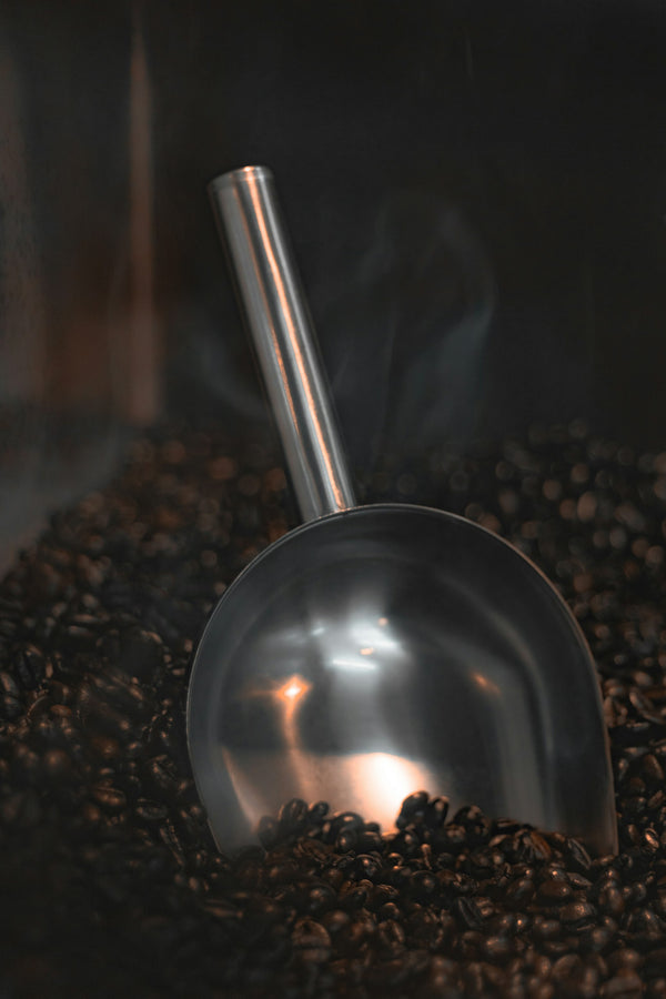 A metal scoop resting on a pile of roasted coffee beans